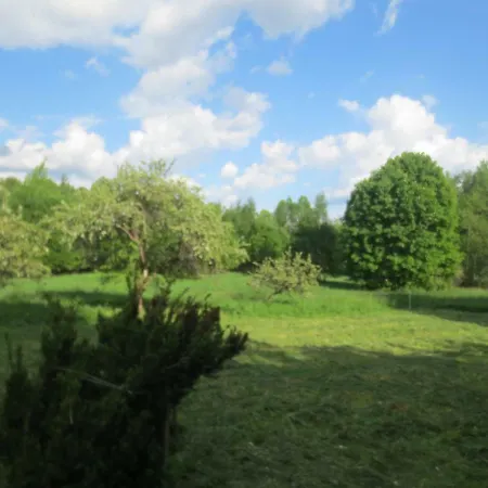 Rauli Camping Farma