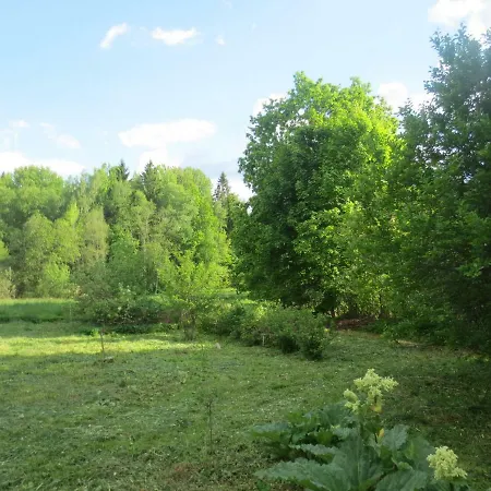Rauli Camping Kanepi